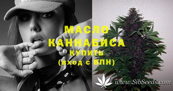 стаф Касимов