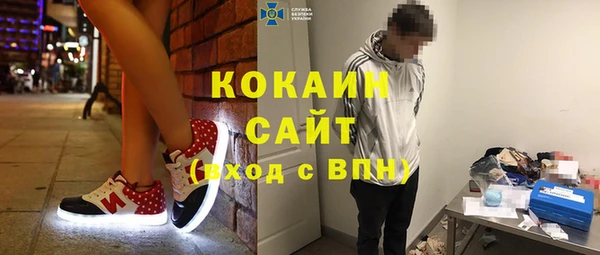 стаф Касимов