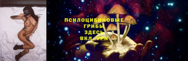 молекула духа Карпинск