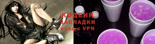 стаф Касимов