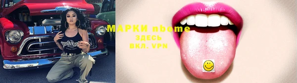 стаф Касимов