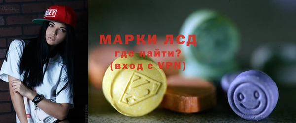стаф Касимов