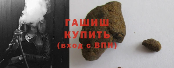 стаф Касимов