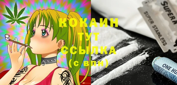 молекула духа Карпинск