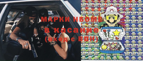 молекула духа Карпинск